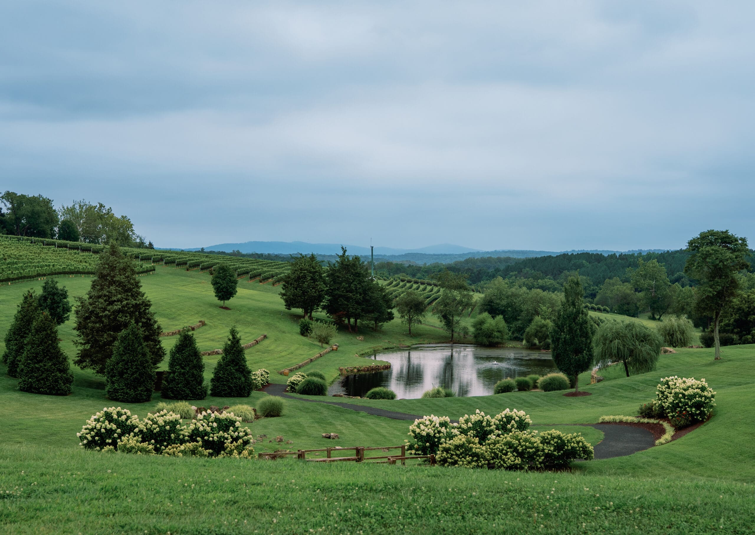 Rolling green hills and vineyard views at Stone Tower Winery in Northern Virginia, a romantic setting for elegant countryside weddings.